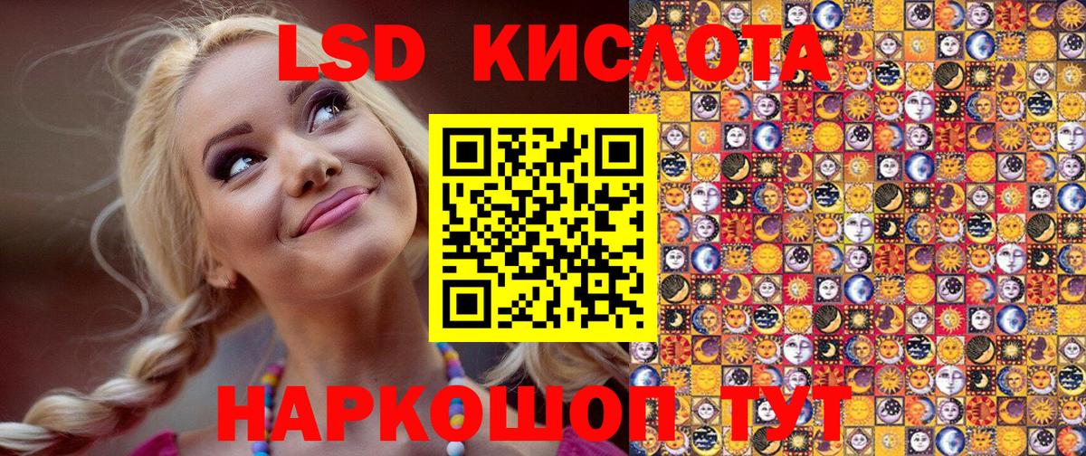 купить закладку  Вход с VPN  Камышин  Наркотические марки 1,5мг 