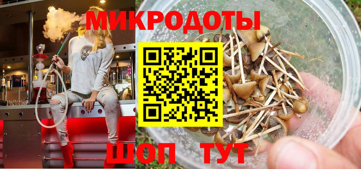 Галлюциногенные грибы Magic Shrooms Камышин